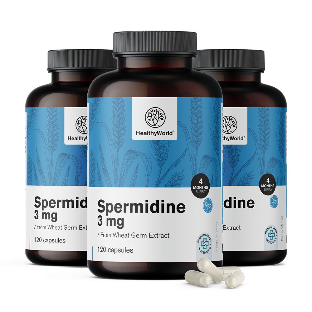 Spermidín 3 mg - z extraktu pšeničných kalčíkov.