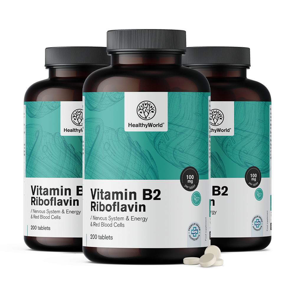 Vitamín B2 - riboflavín 100 mgVitamín B2 - riboflavín 100 mg